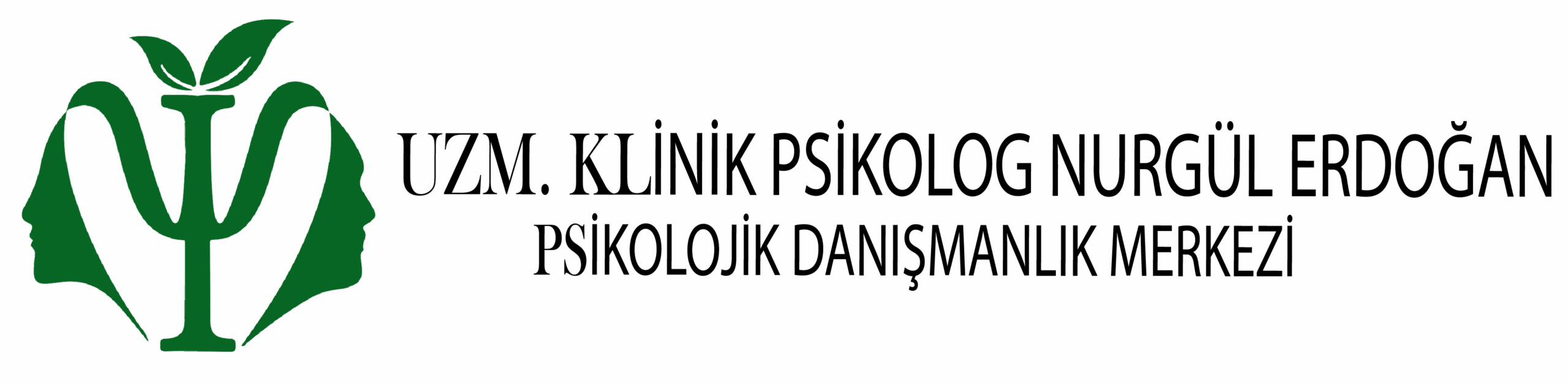 NURGÜL_logo_s6-01