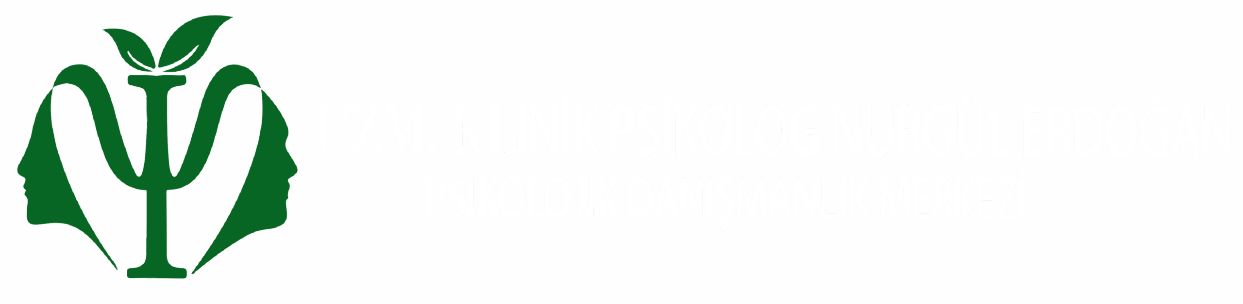 NURGÜL_logo_s7-01